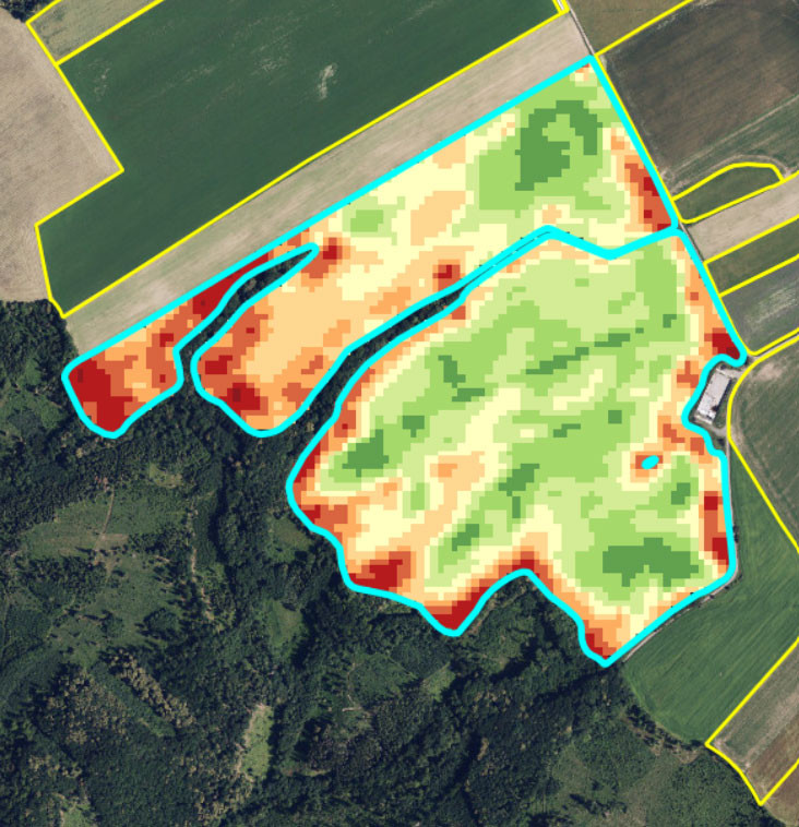 Mapa relativního výnosu pšenice